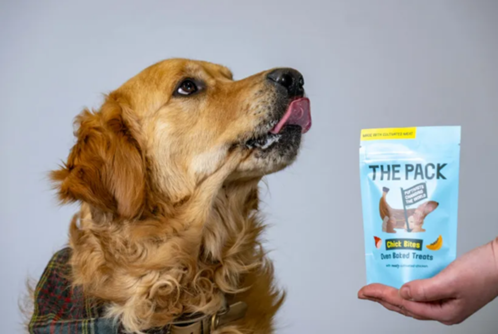 Frango cultivado em laboratório para cachorros é colocado à venda