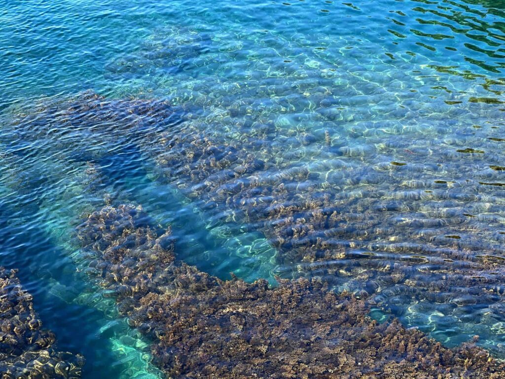 Nosso conhecimento sobre os oceanos está prestes a ser revolucionado