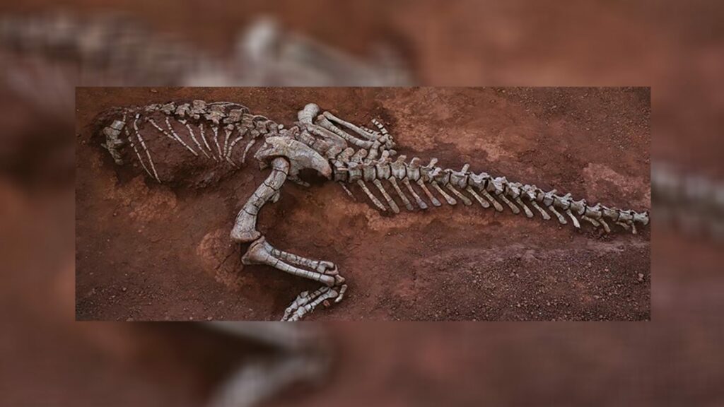 Nova espécie de dinossauro é descoberta na China