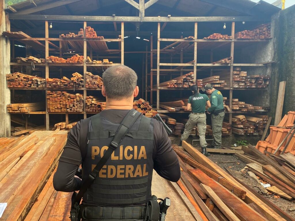 PF desmonta serrarias clandestinas usadas para abastecer comércios madeireiros