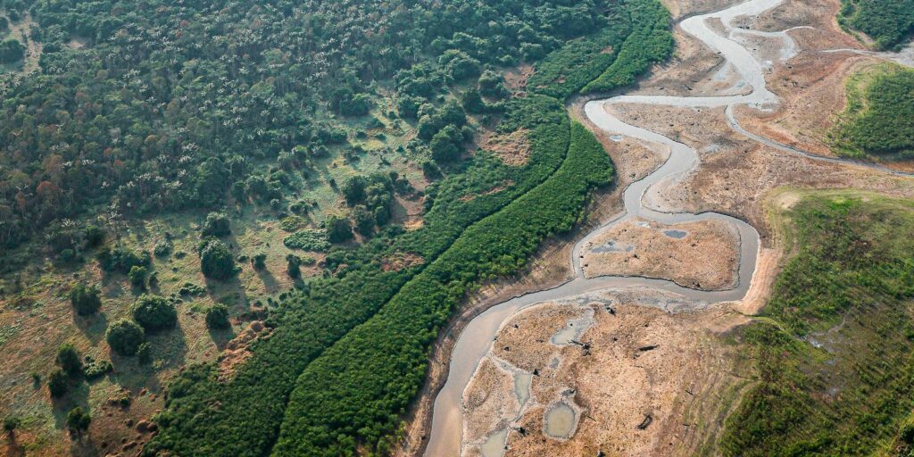 Pesquisa com bactérias na Amazônia pode desenvolver novos medicamentos