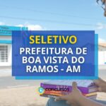 Prefeitura de Boa Vista do Ramos