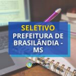 Prefeitura de Brasilândia - MS divulga seletivo com dois editais