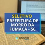 Prefeitura de Morro da Fumaça abre vagas; mensais até R$