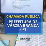 Prefeitura de Várzea Branca - PI abre edital de chamada