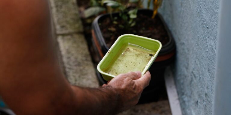 Primeira morte por dengue neste ano é confirmada na cidade