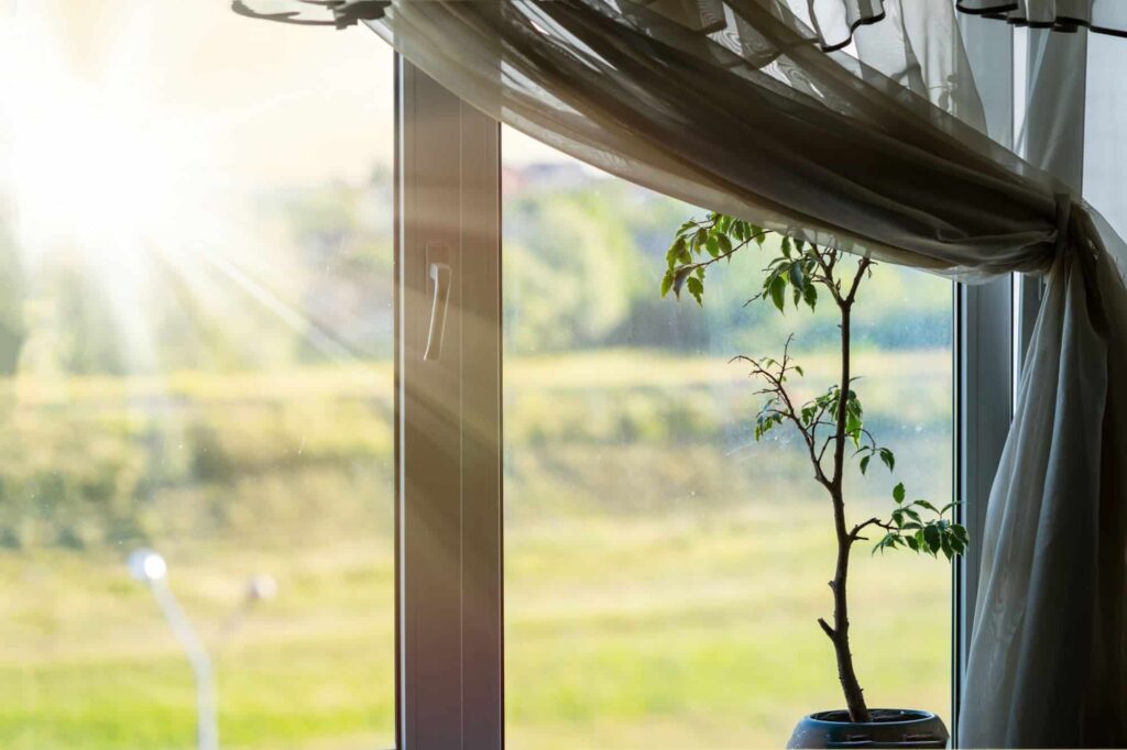 Raios de sol, mesmo através de janelas, podem causar danos