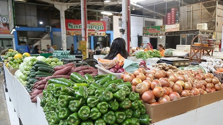 Saiba como vai funcionar o programa com benefícios a partir