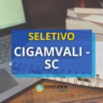 Seletivo CIGAMVALI - SC: duas oportunidades para nível médio