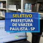 Seletivo Prefeitura de Várzea Paulista