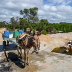 Brasil perdeu duas cidades de SP em superfície de água