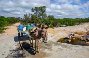 Brasil perdeu duas cidades de SP em superfície de água