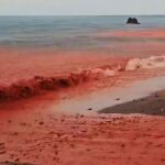 “Chuva de sangue” atinge Ilha Arco-íris e gera imagens impressionantes