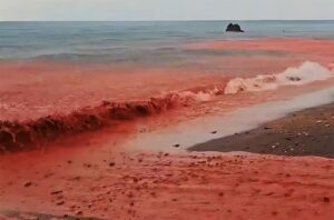 “Chuva de sangue” atinge Ilha Arco-íris e gera imagens impressionantes