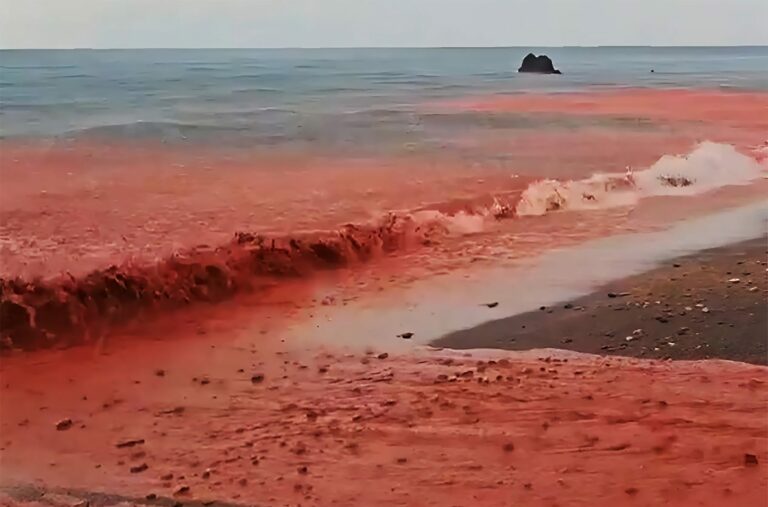 “Chuva de sangue” atinge Ilha Arco-íris e gera imagens impressionantes