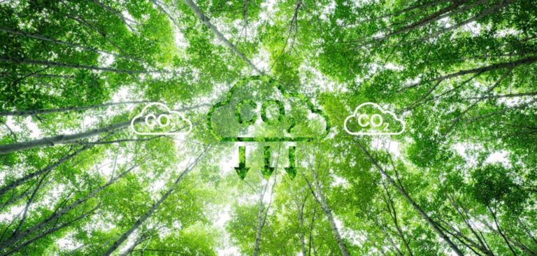 Do ar ao concreto: o plano para capturar CO₂ em