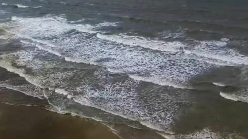 Equipe faz coleta para investigar água e espuma do mar