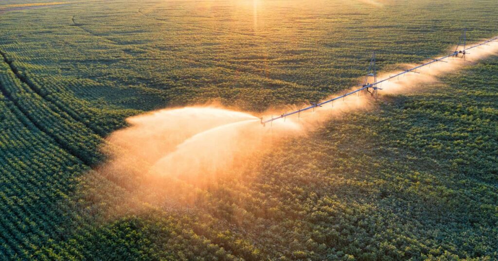 Estamos perto de uma revolução na agricultura!