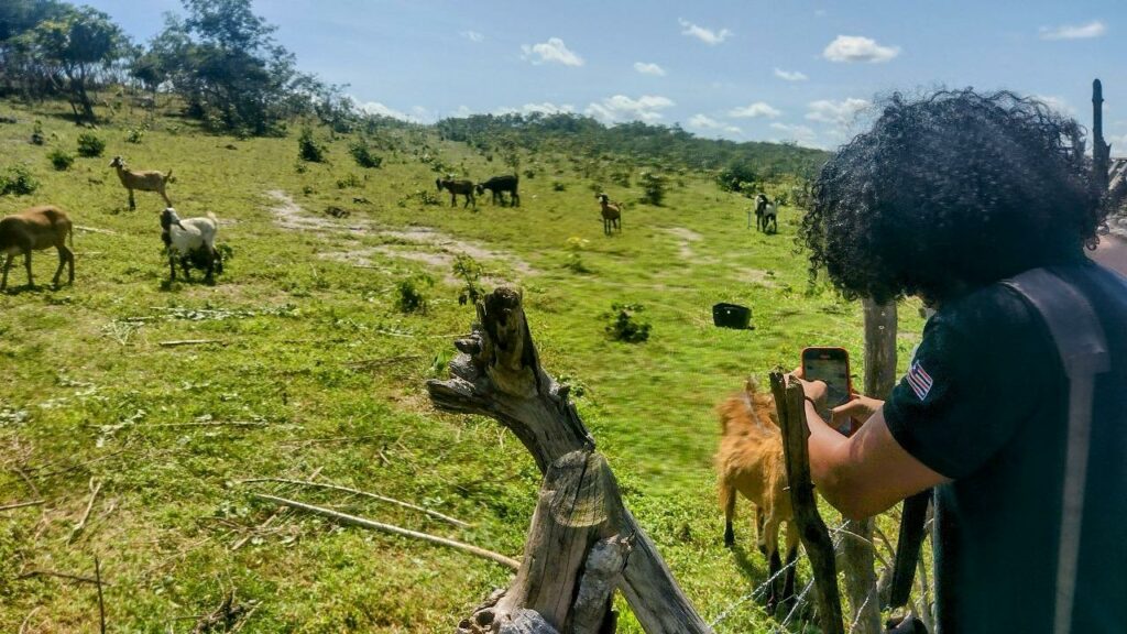 Governo impulsiona regularização fundiária e amplia emissão de títulos de