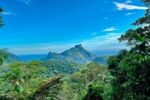 Heróis negros da Tijuca: esforço na restauração da floresta pode