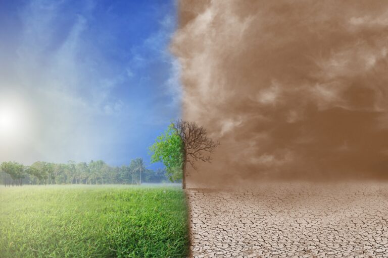 La Niña: fenômeno climático deve ter vida curta em 2025