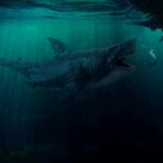 Megalodon: estudo estima o tamanho do tubarão pré-histórico