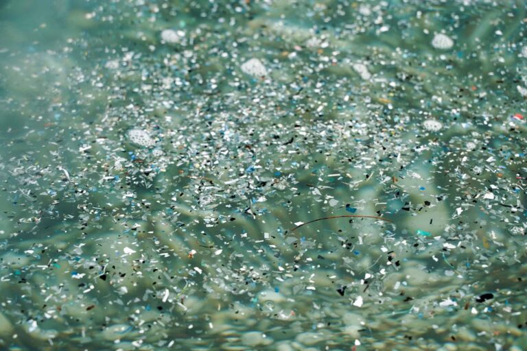 Microplásticos contaminam áreas marinhas protegidas no Brasil