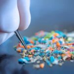 Microplásticos podem gerar uma crise alimentar global, diz estudo