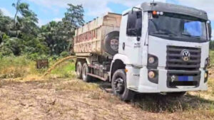 Motorista e empresário são presos por crime ambiental na Zona