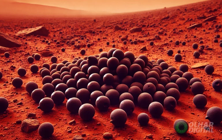 NASA encontra “jabuticabas” em Marte? Entenda