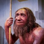 Neandertais sofreram grande queda populacional há 110 mil anos, aponta