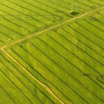 Nova metodologia com IA revoluciona mapeamento do uso da terra