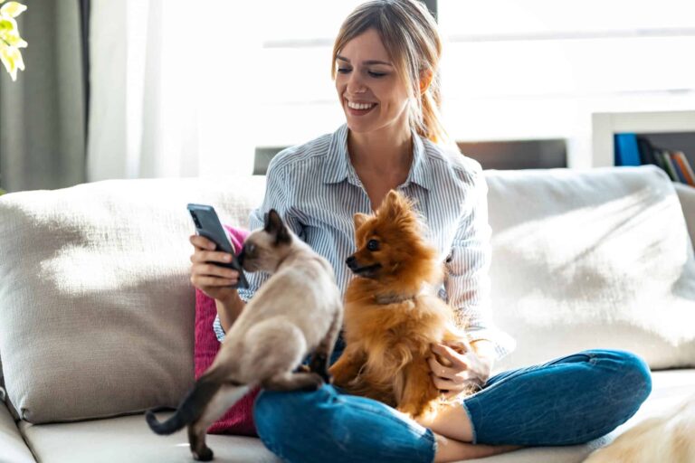 PetPhone: conheça o ‘celular’ para os seus bichinhos