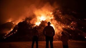 Por que a fumaça de incêndios florestais urbanos é tão