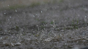 Prepare o guarda-chuva! Veja como fica o tempo neste domingo