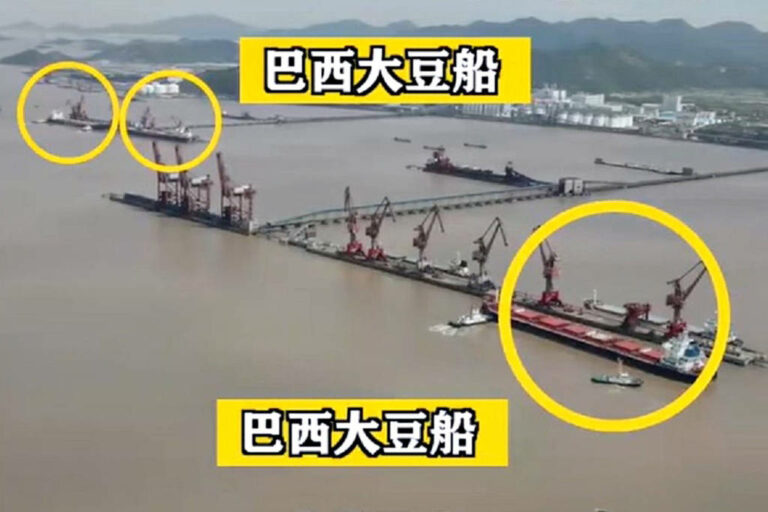 China exibe desembarque de soja brasileira e afirma que pode