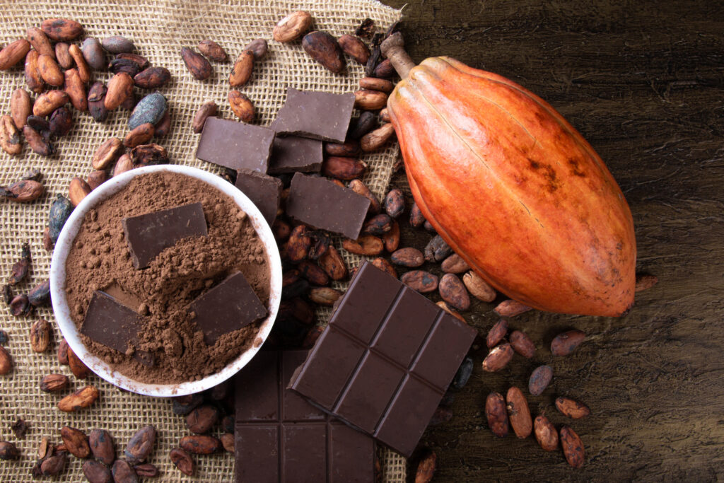 Chocolate fake? Pesquisadores da USP criam substituto do cacau