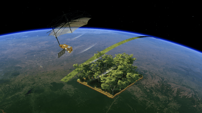 Foguete europeu lança satélite de monitoramento florestal