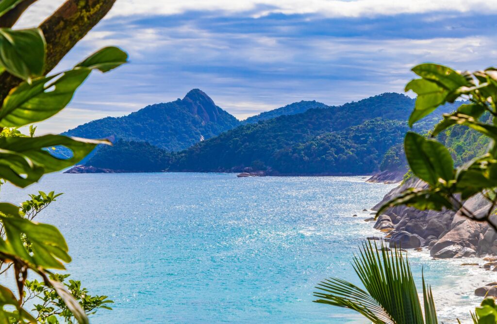 Ilha turística brasileira recebe título de área de conservação de morcegos
