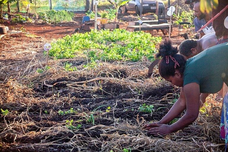Interior do estado poderá ganhar polo agroecológico e de produção