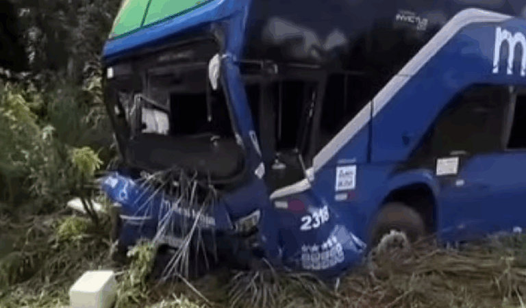 Ônibus sai da pista ao desviar de veículo em ultrapassagem