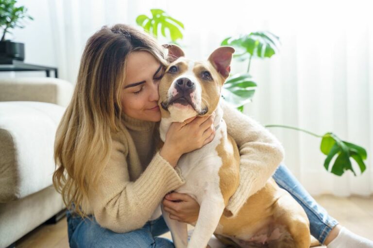 Pets: pesquisa aponta que 80% dos animais nos lares do