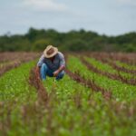 Produtores rurais possuem 60 dias para atualizar cadastro junto à