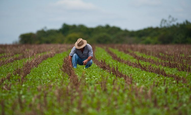 Produtores rurais possuem 60 dias para atualizar cadastro junto à