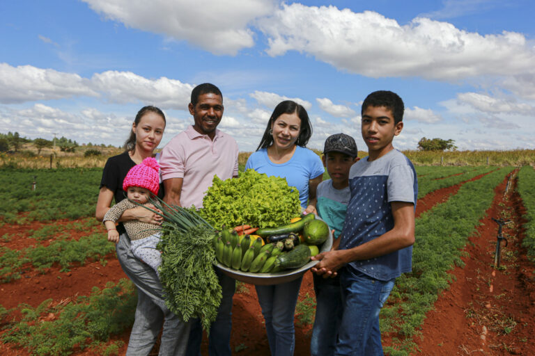 Programa de Aquisição de Alimentos investe R$ 5,1 milhões para