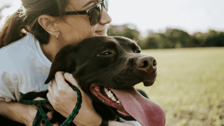 Quais são as raças de cachorro mais inteligentes? Veja a