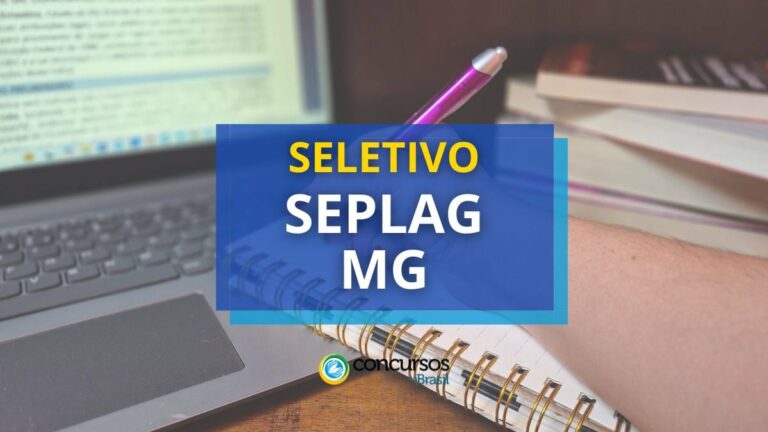 SEPLAG MG divulga edital de processo seletivo; até R$ 5,3