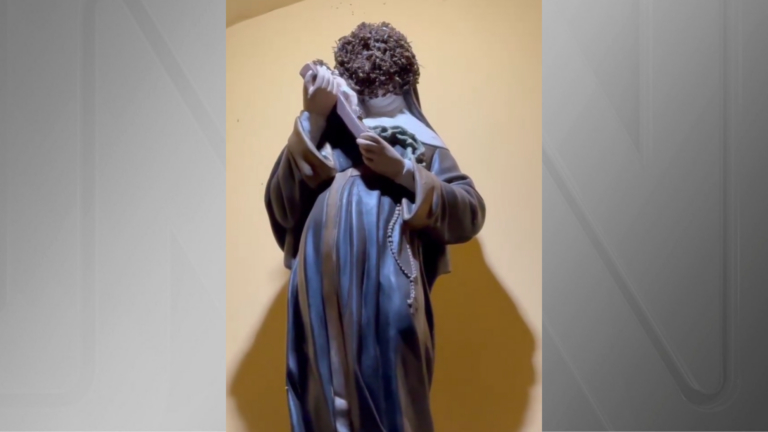 Vídeo: enxame de abelhas cobre rosto de santa em igreja