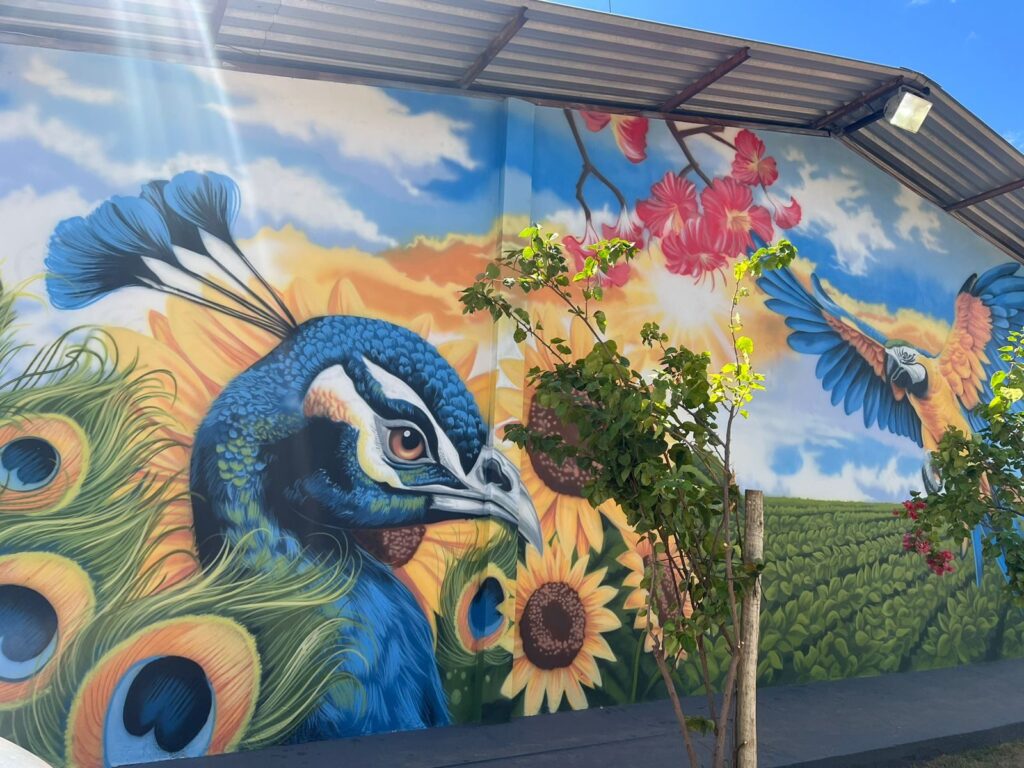 21ª edição do Agrobalsas dedica espaço para intervenções artísticas ao