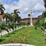 34% das vias de São Luís tem apenas uma árvore